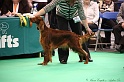 Crufts2011 340